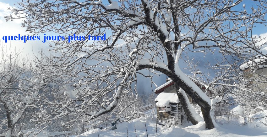 neige