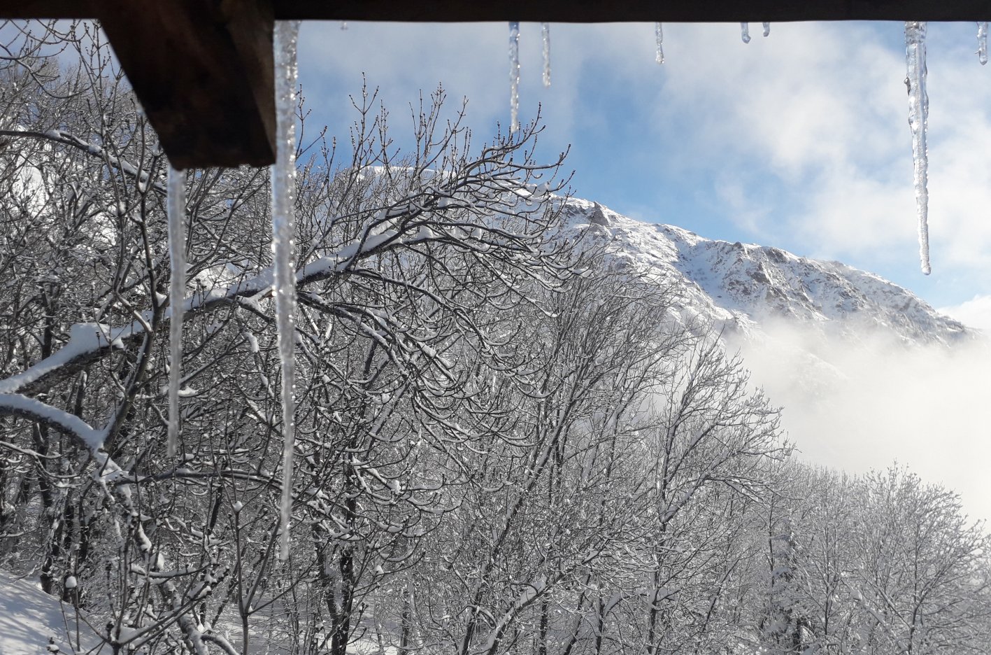 pano