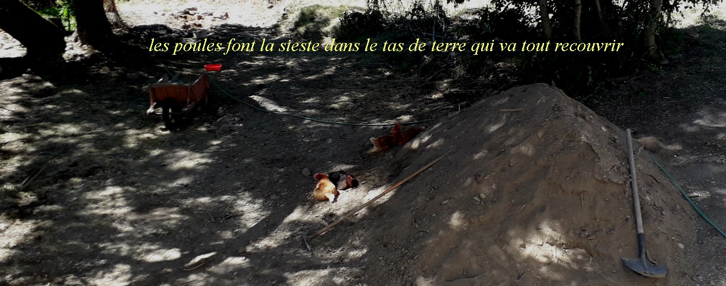 terre