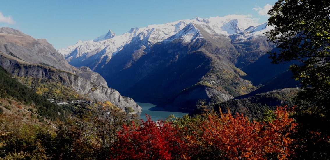 pano