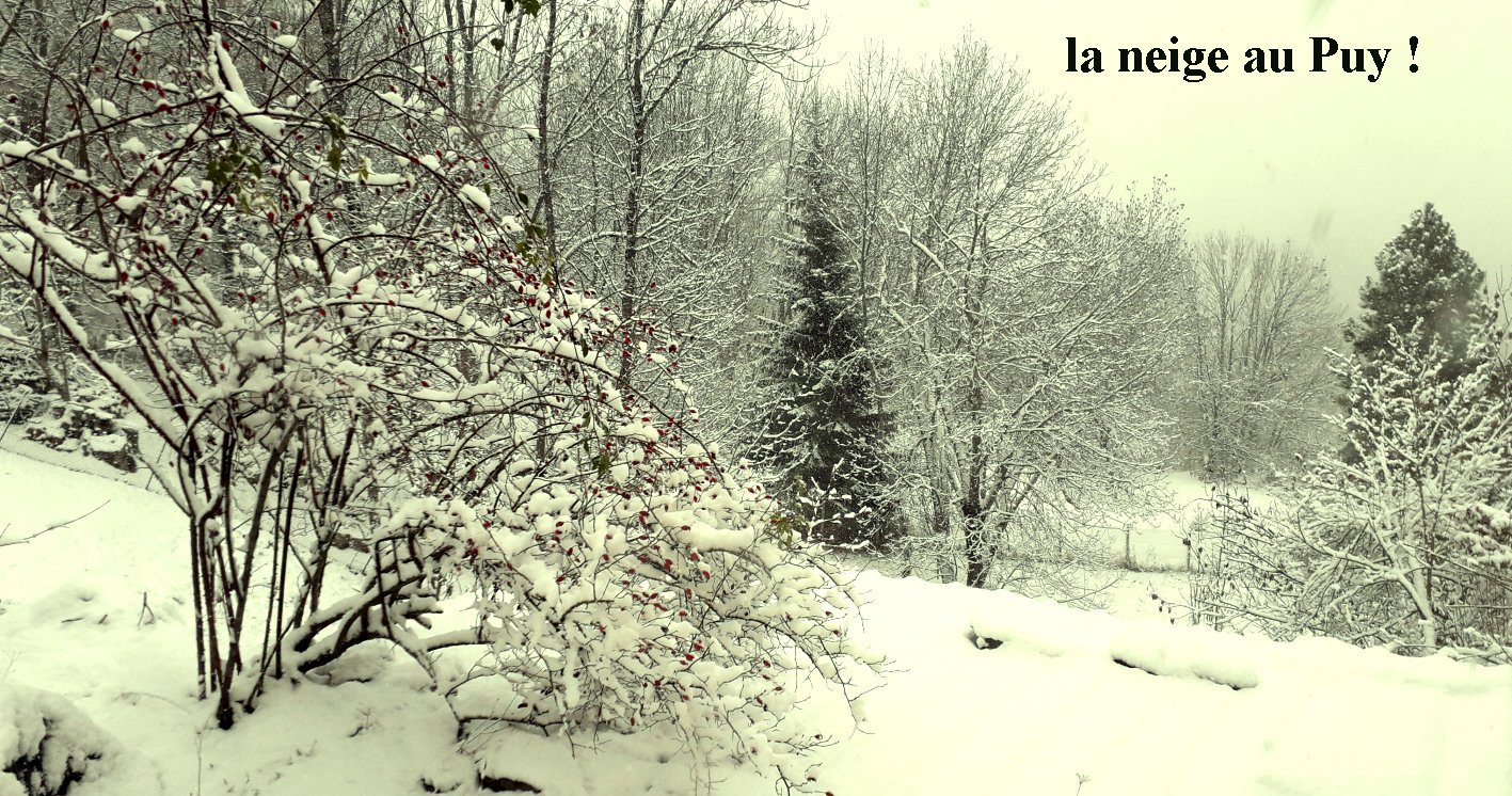neige1