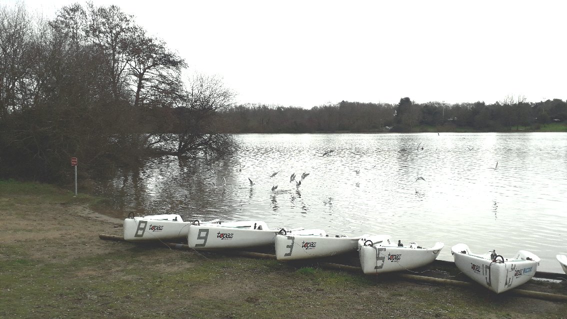 erdre