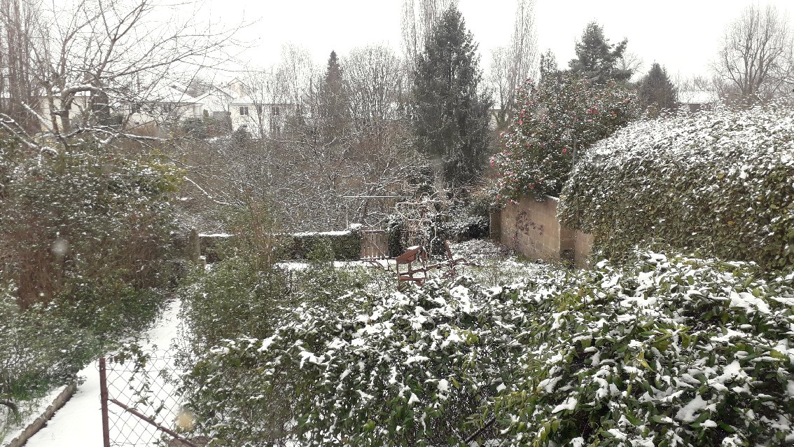 neige