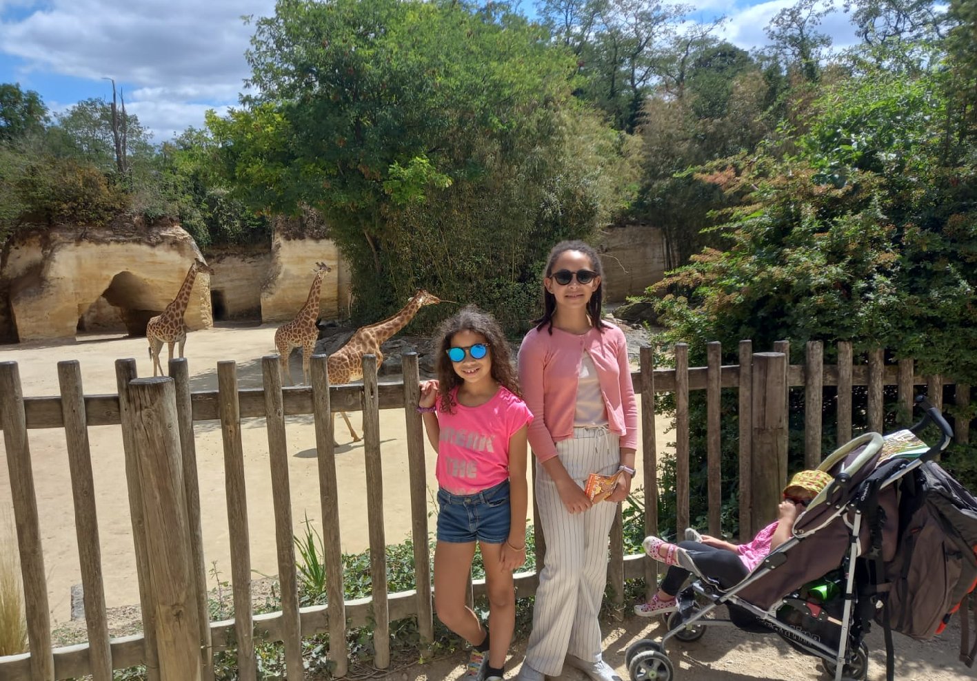 zoo