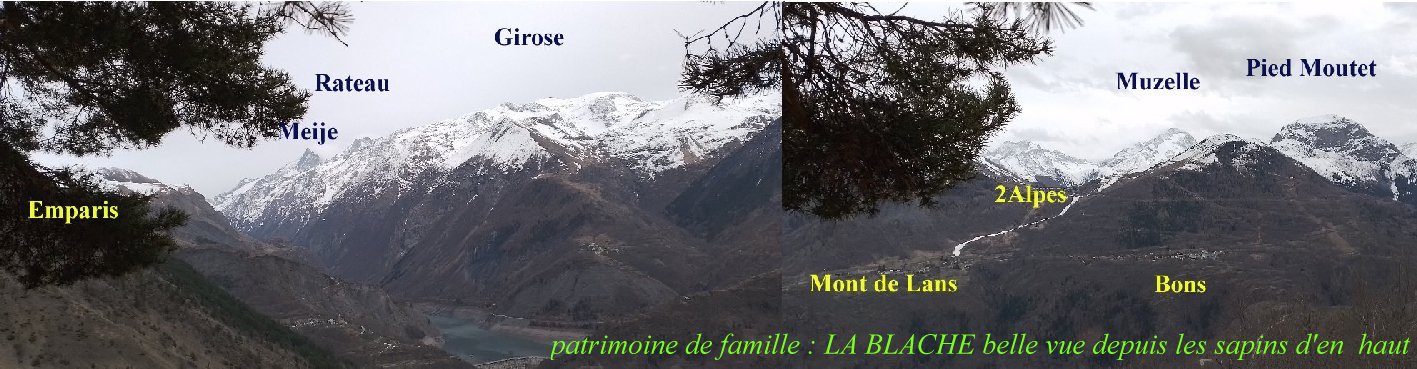 blache